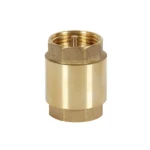 Brass-Non-Return-Valves